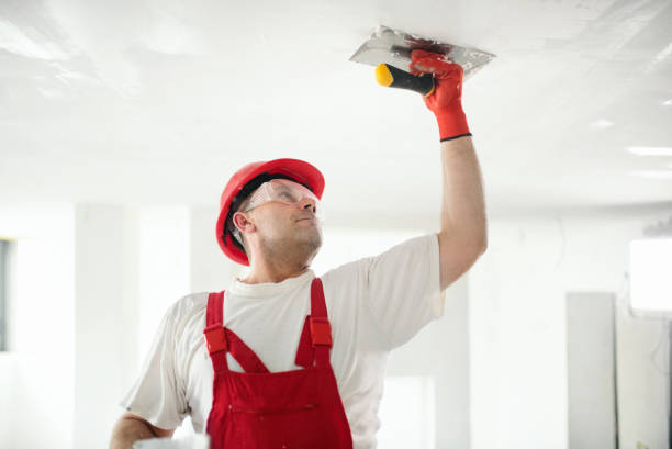 Best Air Quality Testing for Mold Spores  in Sardis, MS