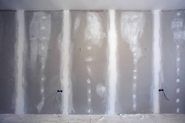 Best Mold Odor Removal Services  in Sardis, MS